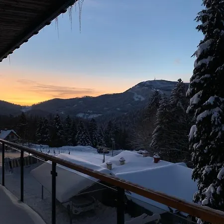 Luxury Chalet Na Stromym Wzgorzu Z Sauna I Balia * Szczyrk