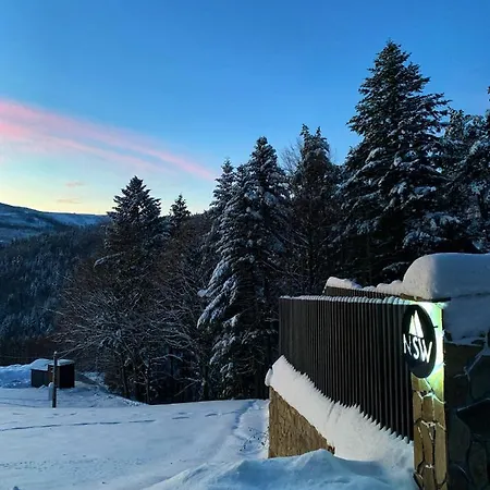 Luxury Chalet Na Stromym Wzgorzu Z Sauna I Balia Szczyrk