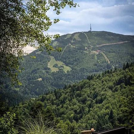 Luxury Chalet Na Stromym Wzgorzu Z Sauna I Balia