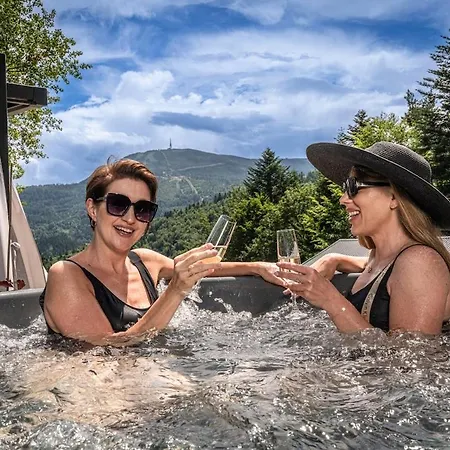 Luxury Chalet Na Stromym Wzgorzu Z Sauna I Balia Apartment
